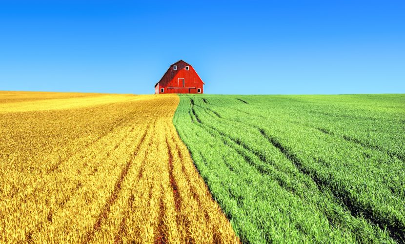 ובחרת בחיים - אימון אישי, ייעוץ זוגי, הדרכה משפחתית והרצאות